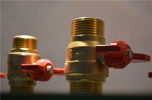 達柏林閥門 批發零售 廠家直銷