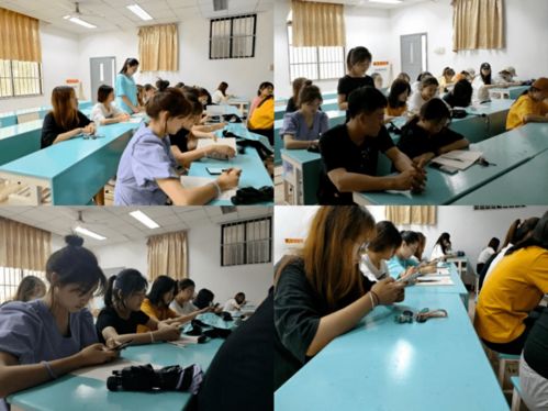 廉潔潤初心 藝術育清風——人文藝術學院黨委教育學生第二黨支部開展廉潔文化學習暨藝術教育信息咨詢服務